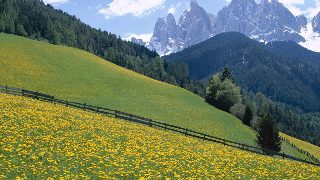 DeepSeek：中国AI技术的颠覆者与开源生态的领航者——从技术突破到全球影响力的全景解读