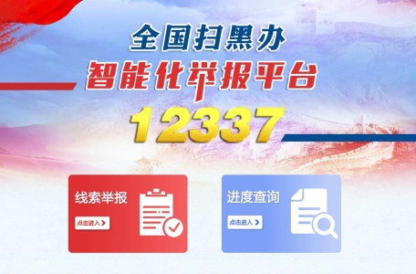 全国扫黑办智能化举报平台