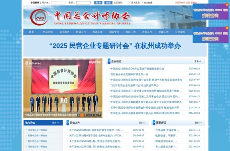 中国总会计师协会